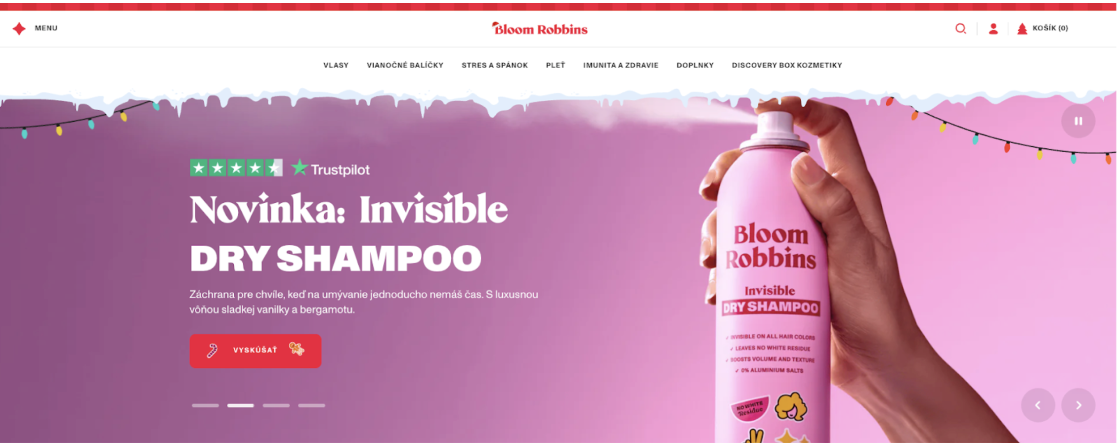 Bloom Robbins home page