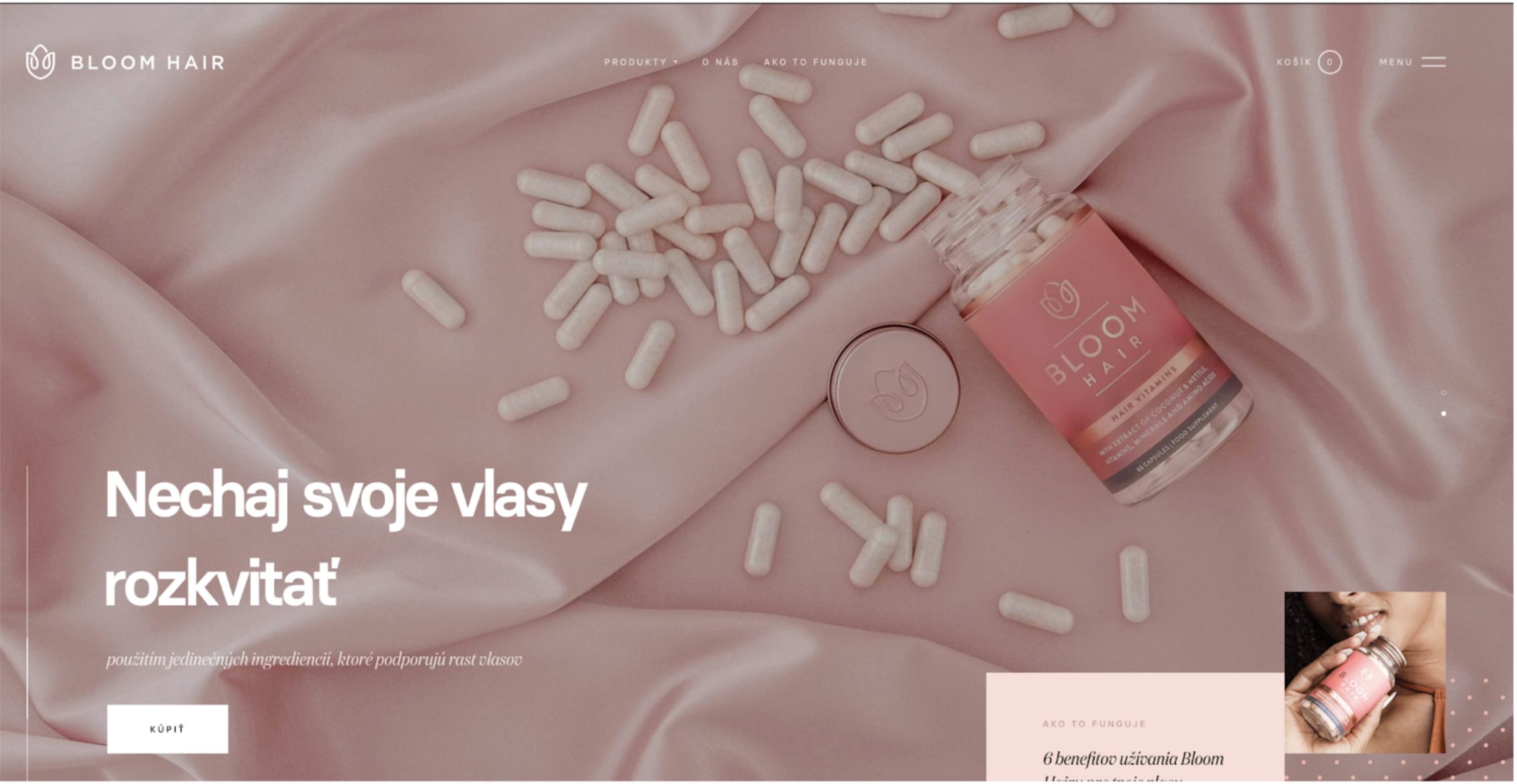 Bloom Robbins stará home page